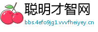 聪明才智网